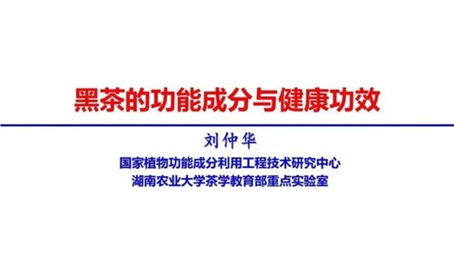 茶的功能成分與健康功效 | 茶、飲茶與健康