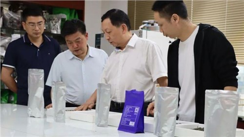 吉首市委副書記李成晚率隊到集團(tuán)瀟湘茶業(yè)考察調(diào)研