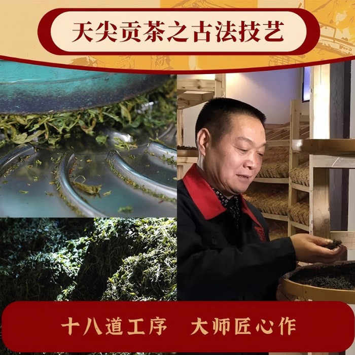大師莊園乙巳龍珠