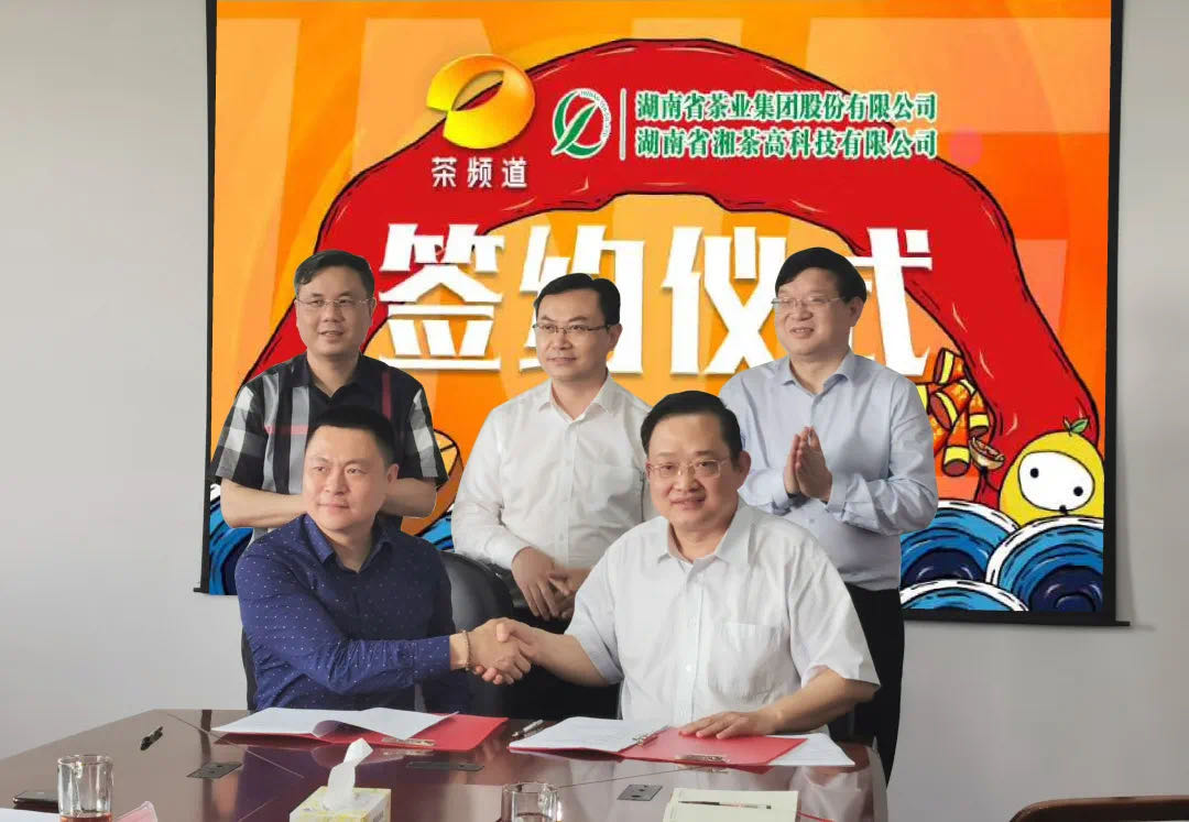 院士見證，輕輕茶發(fā)力品牌建設，與茶頻道達成深度合作