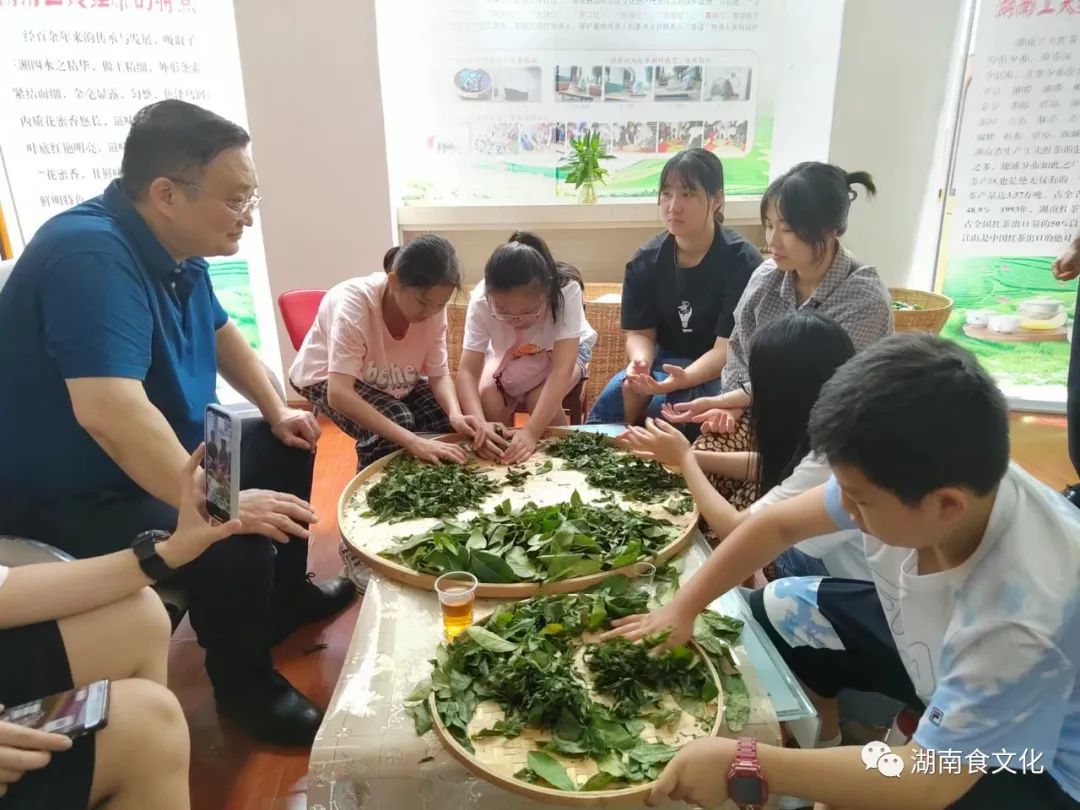 原載人民日報(bào)“人民視點(diǎn)”茶葉是怎樣做出來的？湖南大、中、小學(xué)生體驗(yàn)湖南工夫紅茶制作